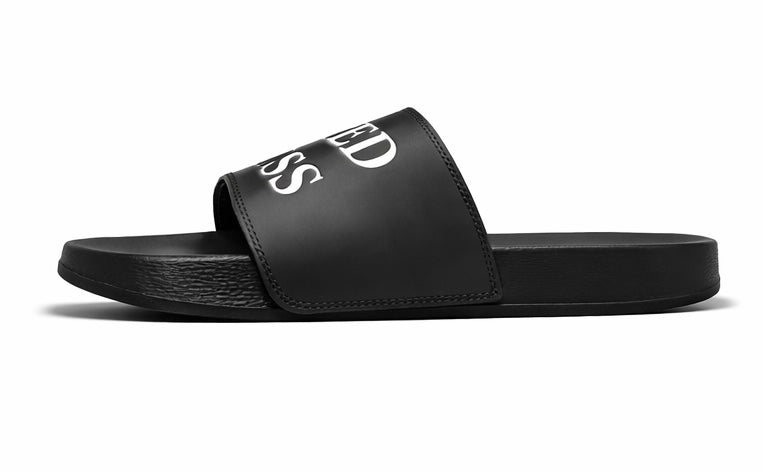 Limited Access Slides